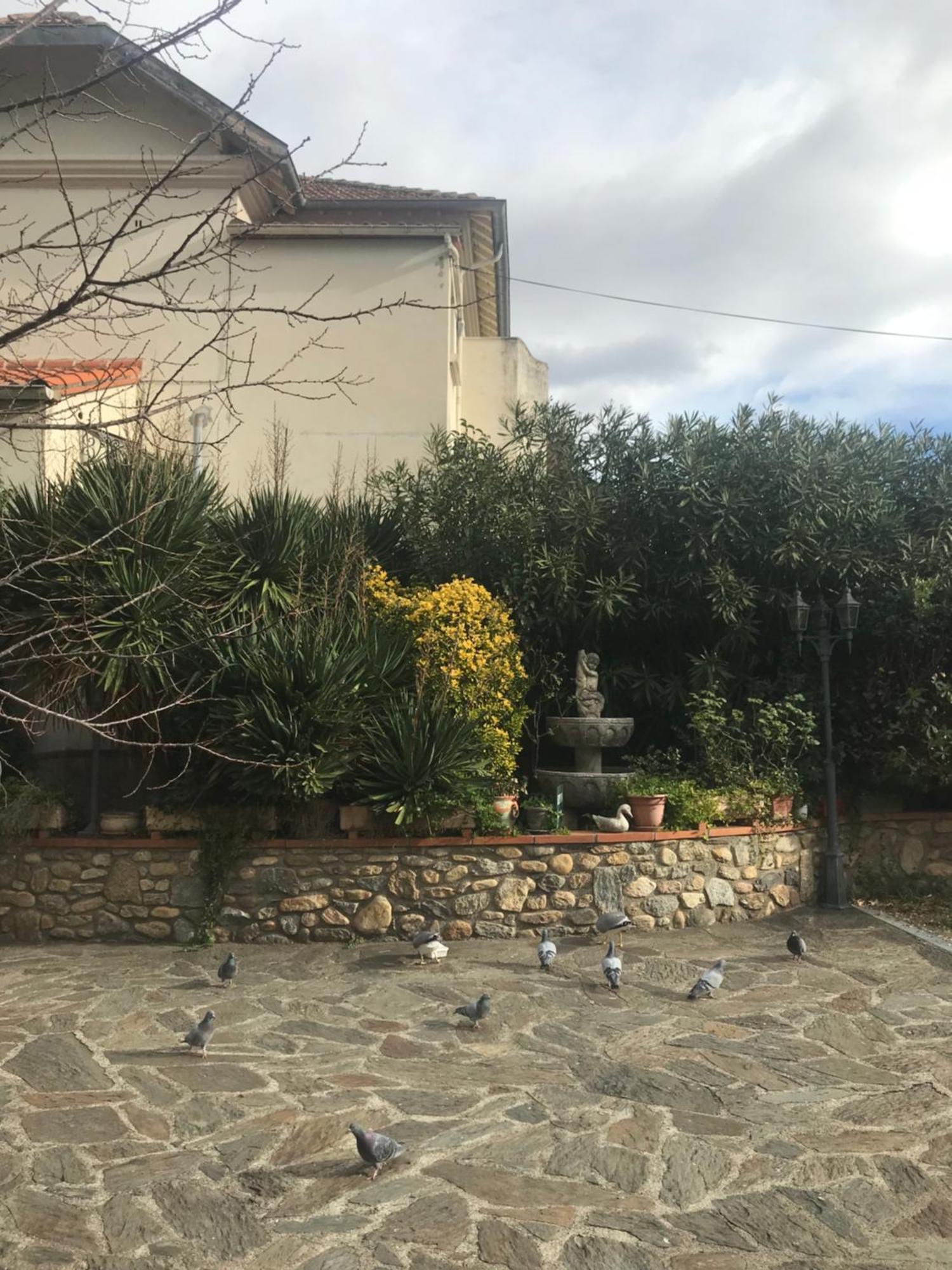 Hebergements A La Rive, Accueil Ouvert Tous Les Jours Jusqu'A 20H00 Dernier Delai, Depuis 30 Ans ! Reserver Ici Svp ! Merci ! Aucun Reglement A Distance Accepte, Paiement Par Cb, Especes, Cheque Ou Cheques-Vacances Imperativement A La Remise Des Clef Amélie-les-Bains-Palalda Exteriör bild